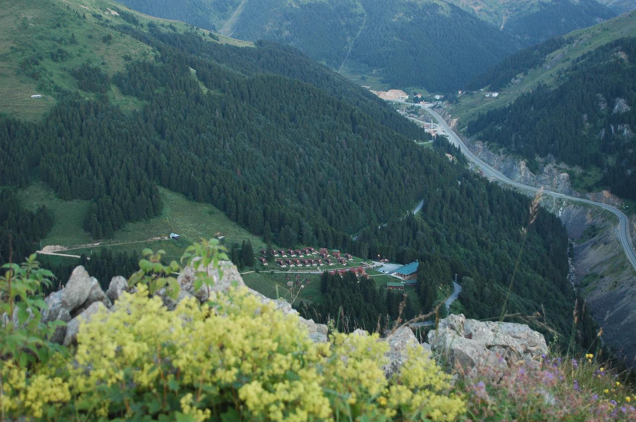 Zitas Zigana Yayla Tatil Koyu Macka Extérieur photo