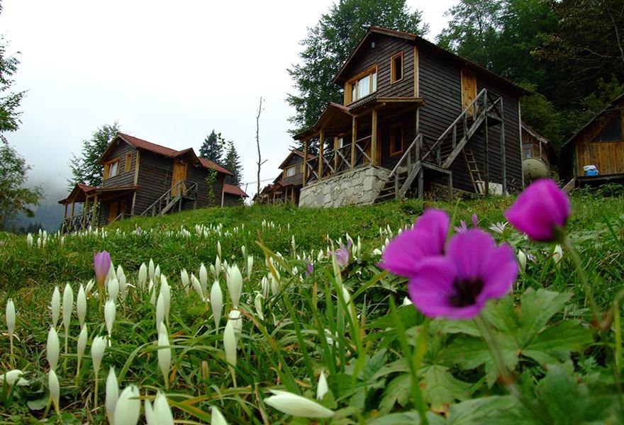 Zitas Zigana Yayla Tatil Koyu Macka Extérieur photo