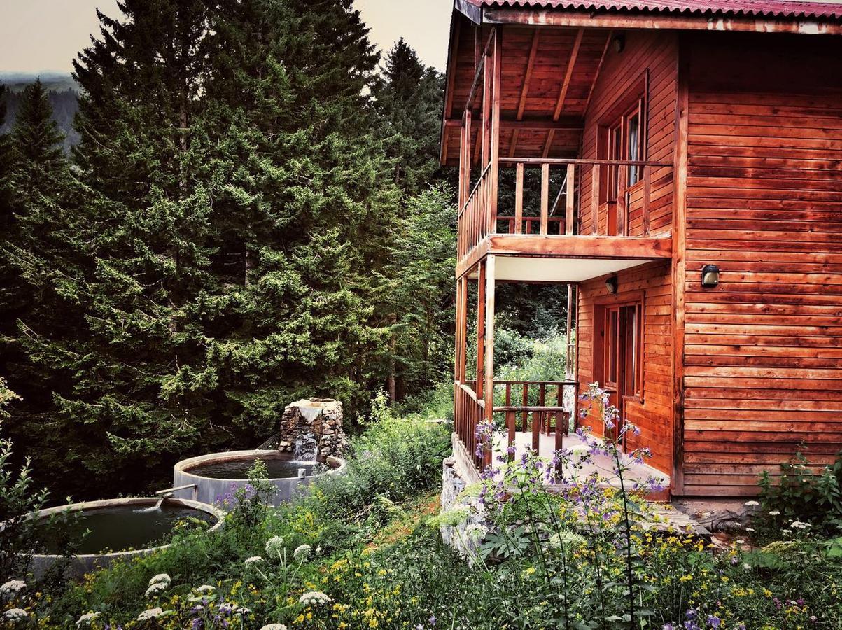 Zitas Zigana Yayla Tatil Koyu Macka Extérieur photo