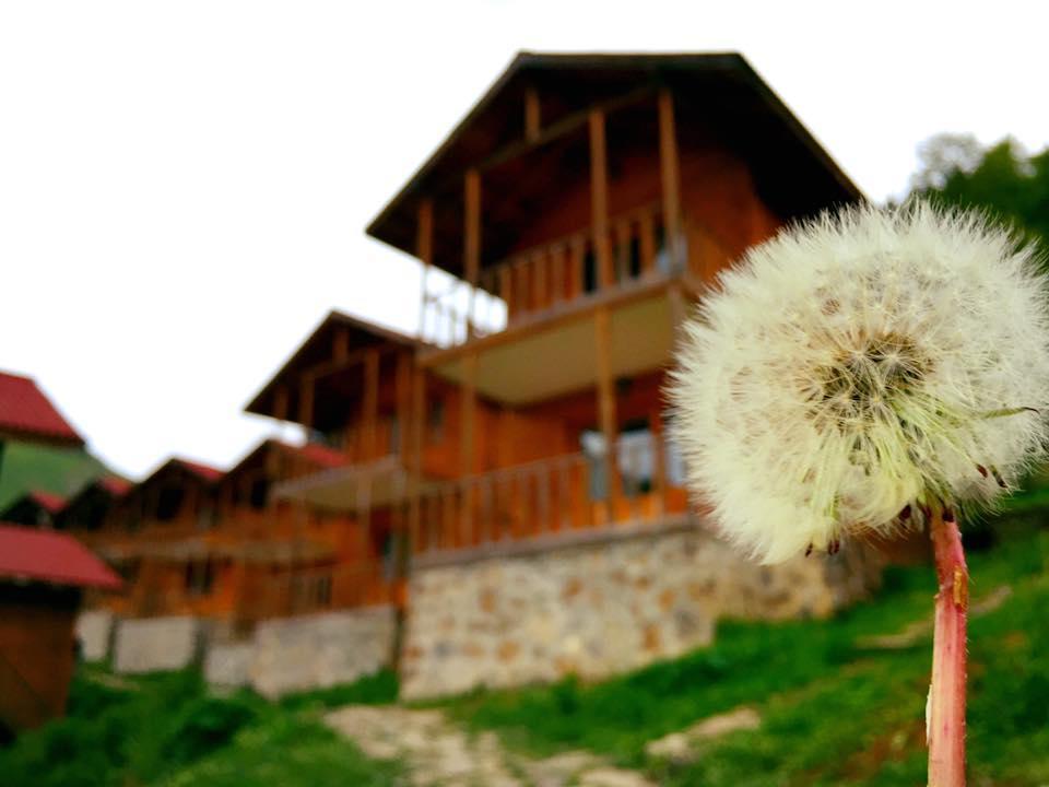 Zitas Zigana Yayla Tatil Koyu Macka Extérieur photo