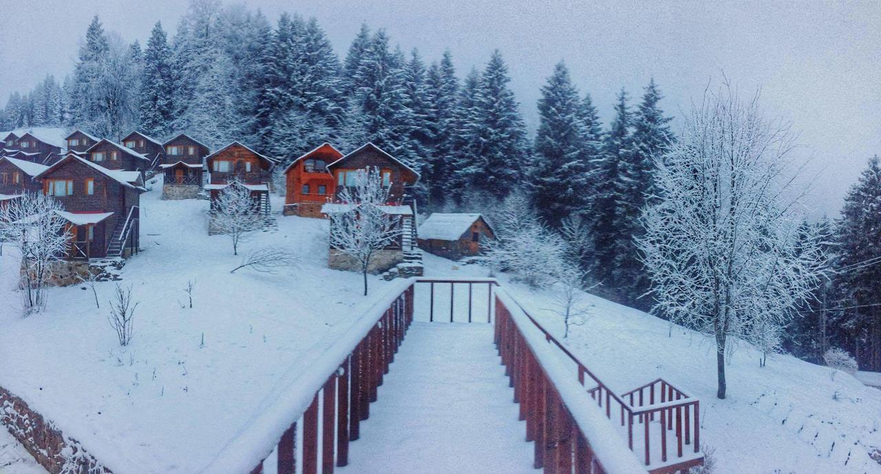 Zitas Zigana Yayla Tatil Koyu Macka Extérieur photo